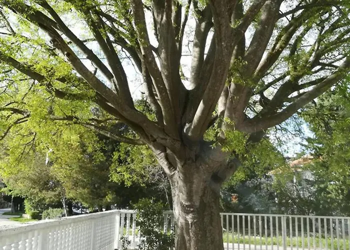 Trbi - One Bedroom - Mely *