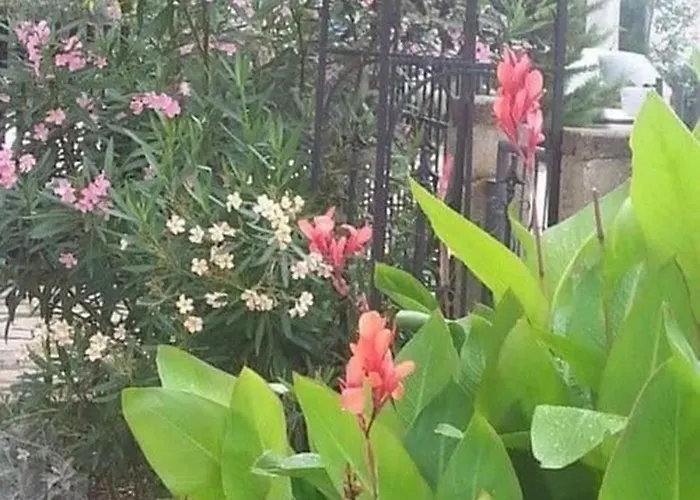 Trbi - One Bedroom - Mely